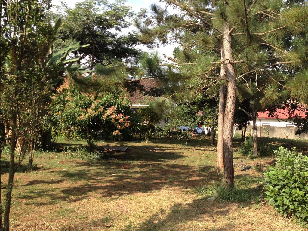 فندق Bikeventures House Uganda جينجا المظهر الخارجي الصورة