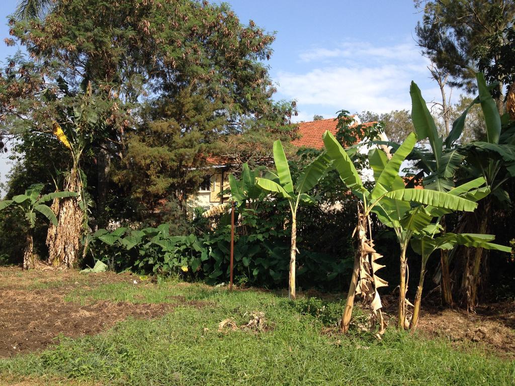 فندق Bikeventures House Uganda جينجا المظهر الخارجي الصورة
